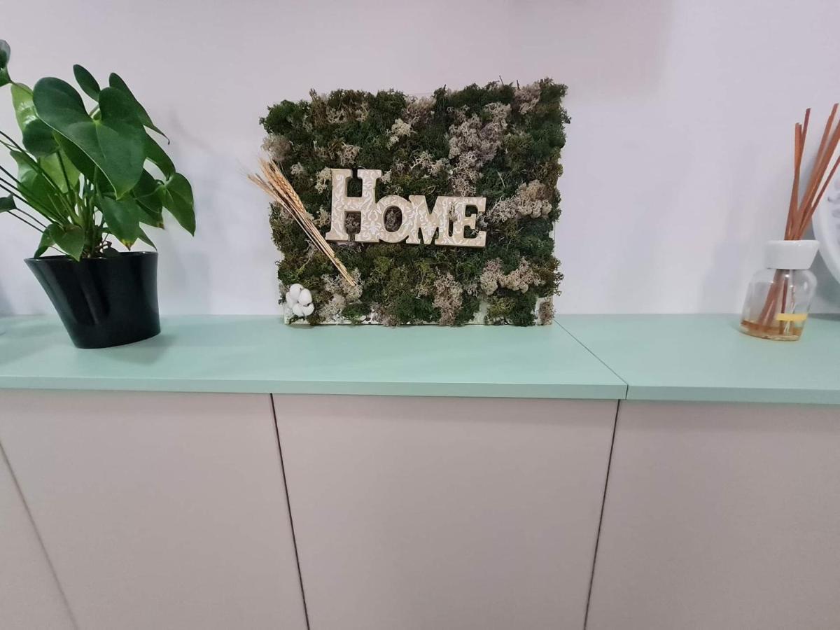 Sweet Home Sfintu Ilie Exteriér fotografie